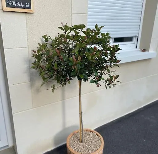 Escale Au Coeur Du Vignoble Champenois Apartment